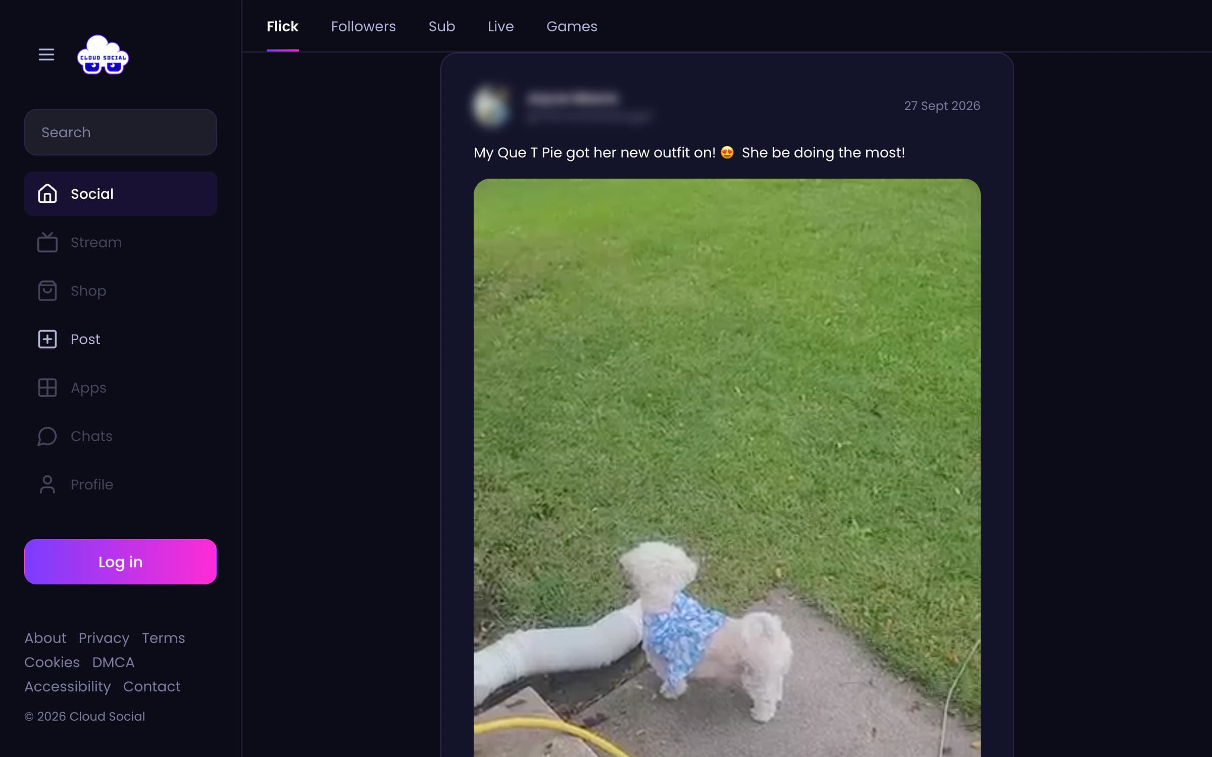 The Cloud Social web app's Flick feed on desktop, with the left navigation sidebar, the feed tabs and a video post of a small dog in a blue outfit on a lawn. The poster's avatar, name and handle are blurred.